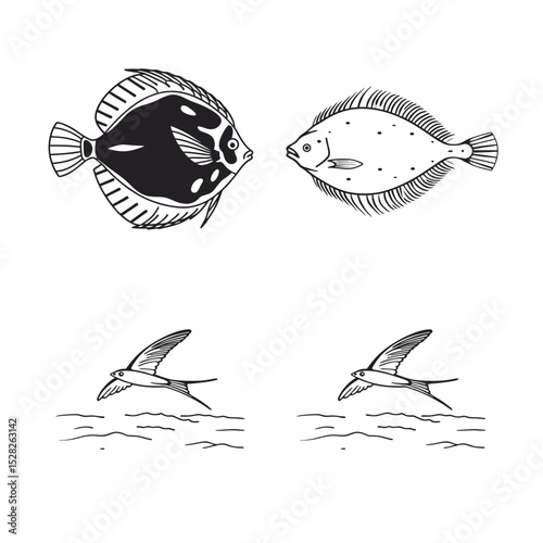 line art of marine fish on the white background