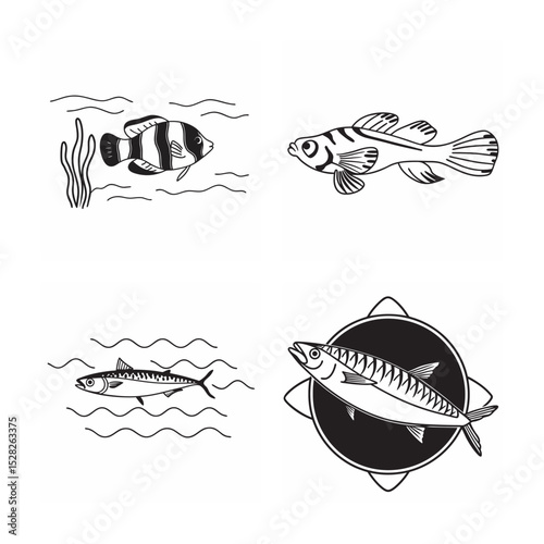 line art of marine fish on the white background