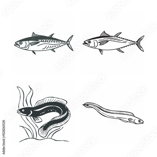 line art of marine fish on the white background