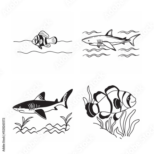 line art of marine fish on the white background