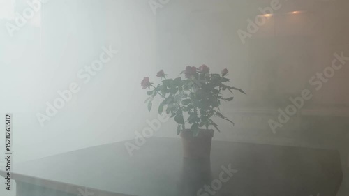 Dense smoke engulfs the apartment as a fire starts due to carelessness, making the environment hazardous and dangerous for life.