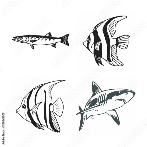line art of marine fish on the white background
