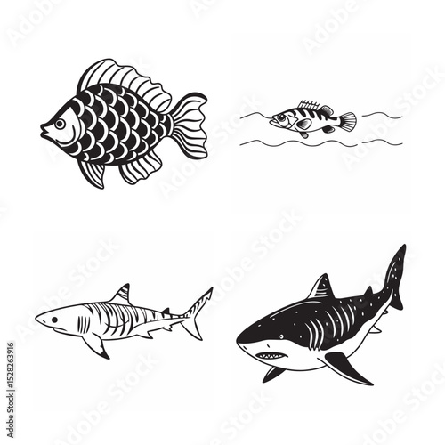 line art of marine fish on the white background