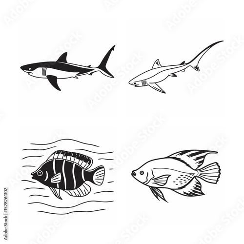 line art of marine fish on the white background