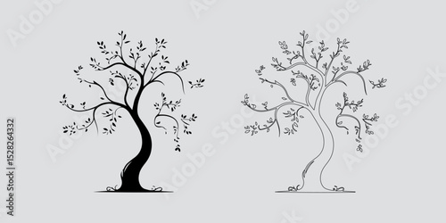 Isolated Tree Outline on White

