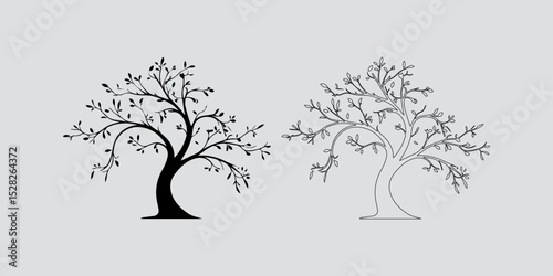Isolated Tree Outline on White

