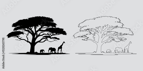 Isolated Tree Outline on White


