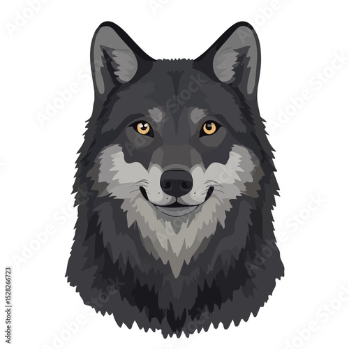 Wolf Close Up vector 2D flat illustration, isolated on a white background.