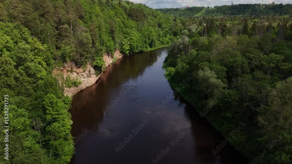 Top-Down Aerial View of River, Forest and rock Wall Top-Down Aerial View of River, Forest and rock Wall