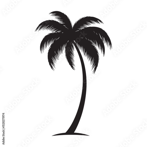 Palm Tree Silhouettes