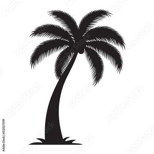 palm trees silhouette