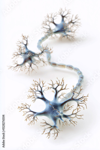 Hippocampus neuron activity. Synaptic activity in hippocampal brain cells visualized in image format. photo