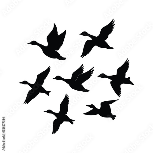 A set of silhouette flying duck vector illustration