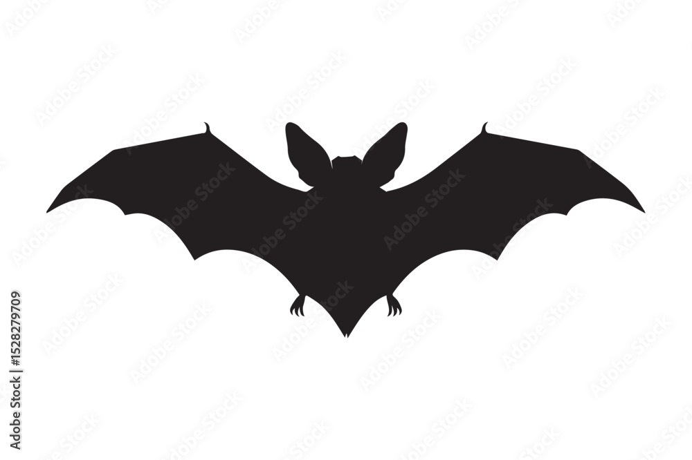 Fototapeta premium bat and bats