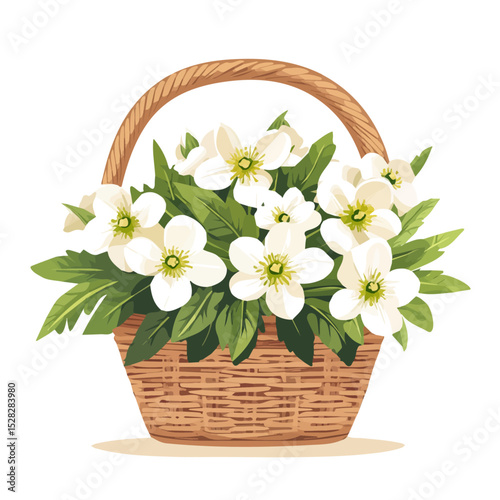 2D flat A Hellebore Flower Basket vector illustration, isolated on a white background.