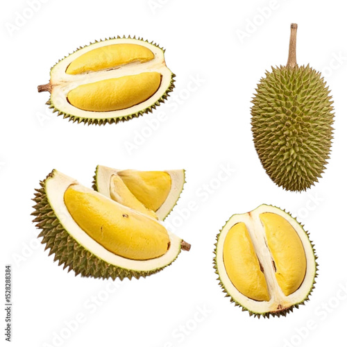 Durian isolated icon set with no background design element	