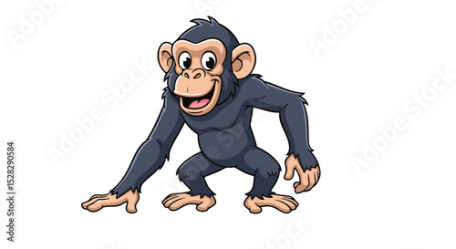 A monkey 