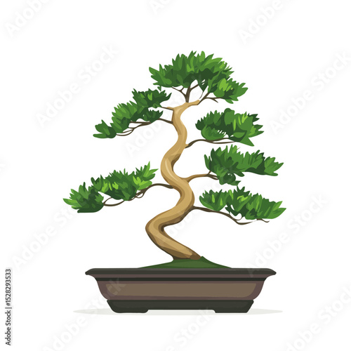 A Cypress Bonsai illustration vector 2D flat, isolated on a white background.