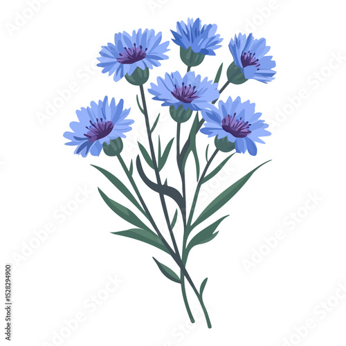 A Cornflower Bouquet 2D flat vector illustration, isolated on a white background.