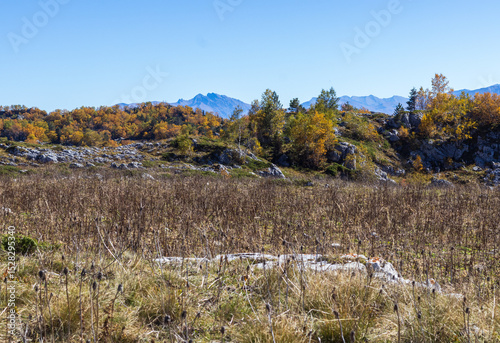 Wallpaper Mural panorama of a mountainous area in the autumn period of the year, yellowed slopes, remnants of dried plants Torontodigital.ca