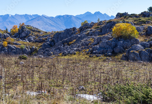 Wallpaper Mural panorama of a mountainous area in the autumn period of the year, yellowed slopes, remnants of dried plants Torontodigital.ca