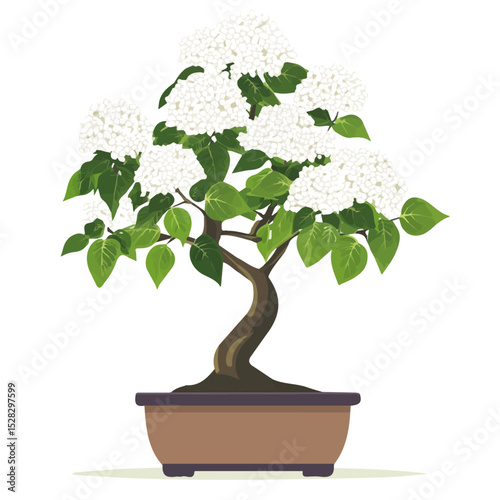 2D flat A Climbing Hydrangea Bonsai illustration vector, isolated on a white background.