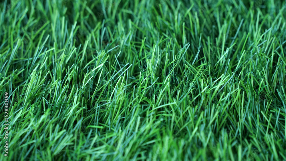 Fototapeta premium Artificial grass, covering. Artificial green grass mat, top view. Texture. Background. Artificial turf, surface made of synthetic fibers. Flat green grass texture background