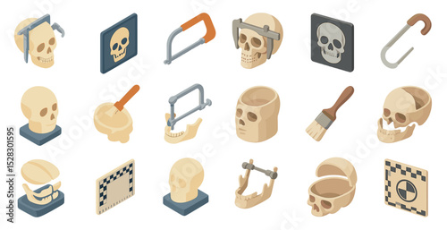 Forensic anthropology tools and skull illustrations for educational design