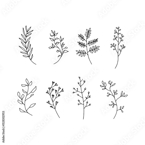 Delicate Botanical Set. Collection of delicate hand-drawn botanical elements, perfect for organic designs, invitations, and eco-themed visuals.