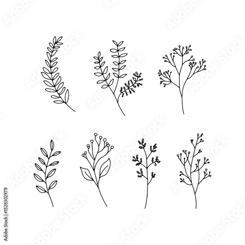 Ink Botanical Sprigs. Set of various fine botanical sprigs with leaves and buds, rendered in ink for elegant nature-inspired projects.