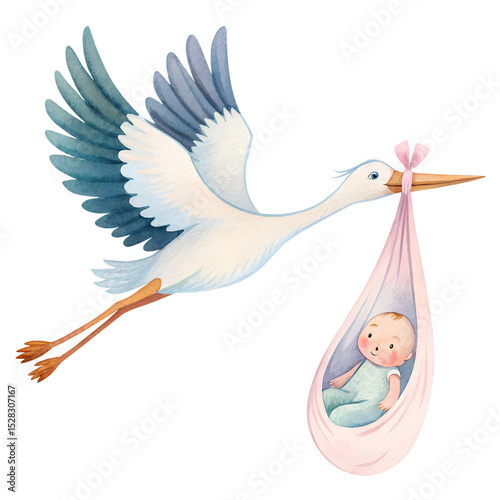 stork with baby Isolated on transparent background