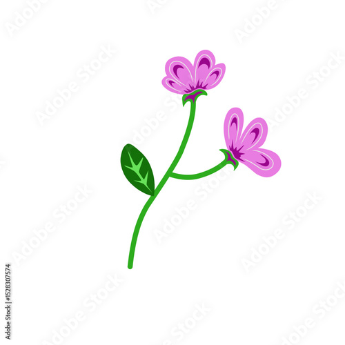 Stylized floral illustration exhibiting dual blooms on a dark background