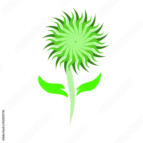 Stylized botanical illustration featuring a green radiant blossom on black