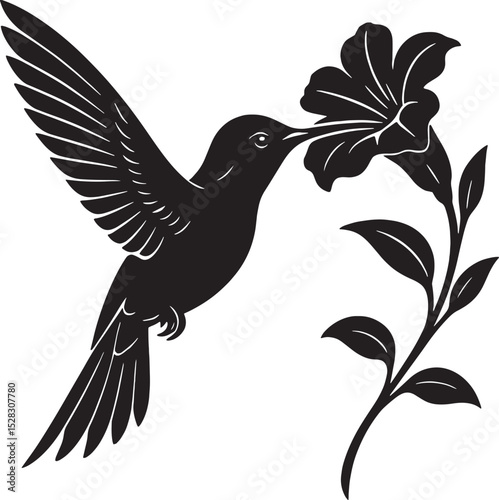 Black Silhouette Hummingbird Feeding on Flower vector