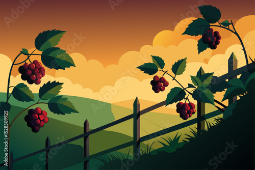 Vector illustration of blackberry bush with fence and landscape