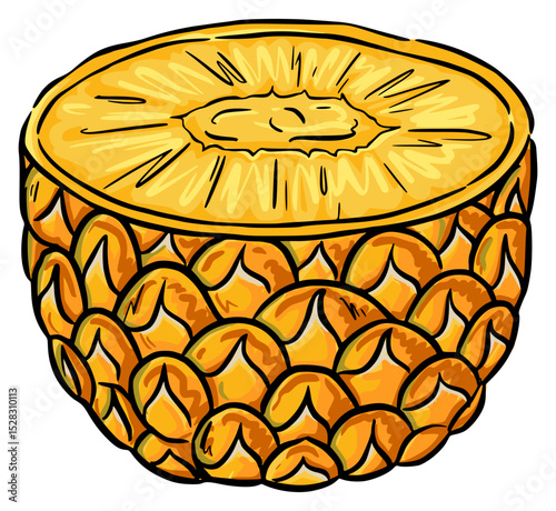 slice of pineapple fruit