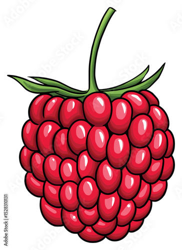 vector illustration of ripe raspberries