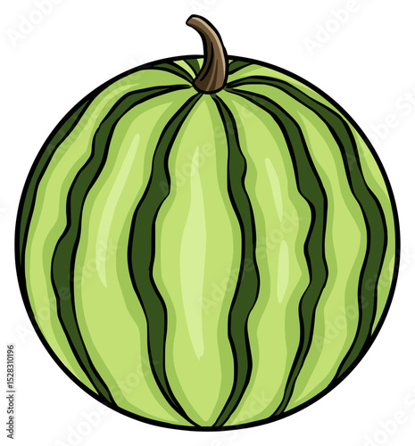 green watermelon isolated on white