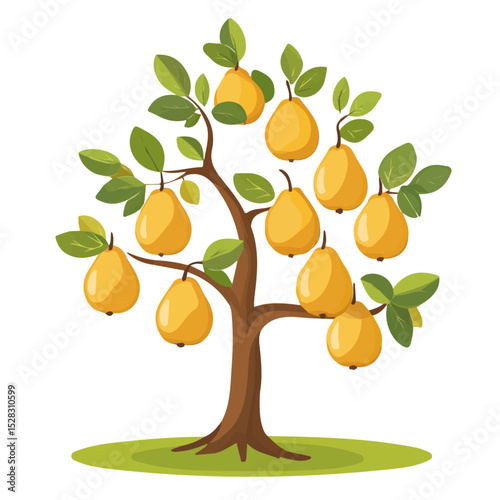 Autumn Pears Ripening Tree vector 2D flat illustration, isolated on a white background.