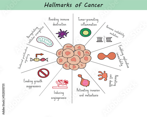 Hallmarks of Cancer Diagram – Vector Line Art for Medical and Scientific Use