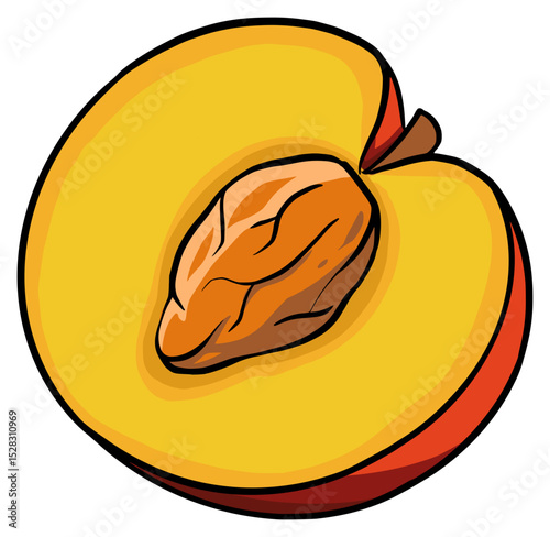 fresh peach half fruit