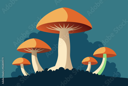vector illustration of mushrooms