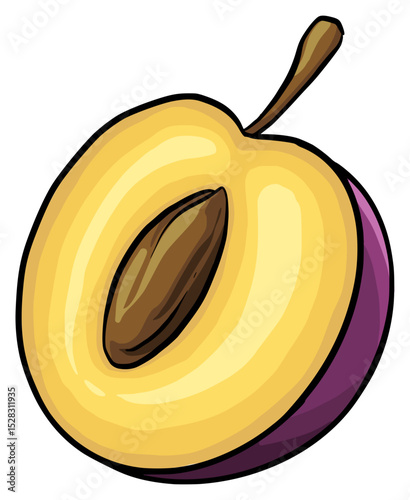 juicy plum fruit illustration