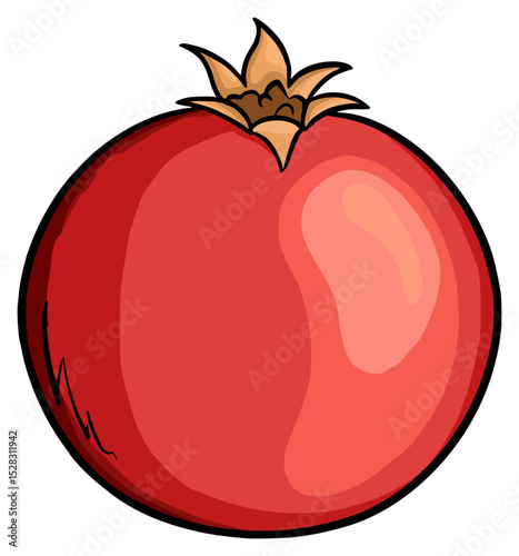 vector illustration of an pomegranate fruit