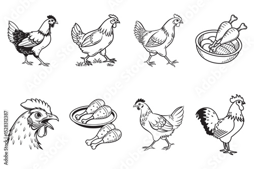 Simple Line Art Illustrations of Chickens and Chicken Parts
