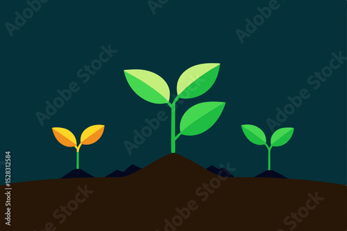 plant in the ground