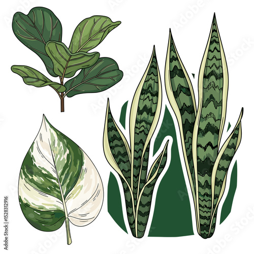 Botanical Diversity: A curated collection of vibrant botanical illustrations showcases the intricate beauty of nature's greenery. Each leaf, expertly rendered, presents a study in form and color.