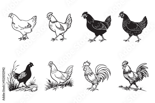 Simple Line Art Illustrations of Chickens and Chicken Parts