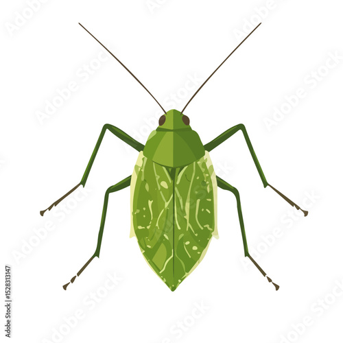 2D flat Aphid illustration vector, isolated on a white background.