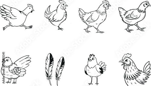 Simple Line Art Illustrations of Chickens and Chicken Parts